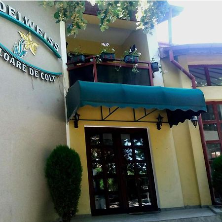 Pension Edelweiss Hotel Kültér fotó