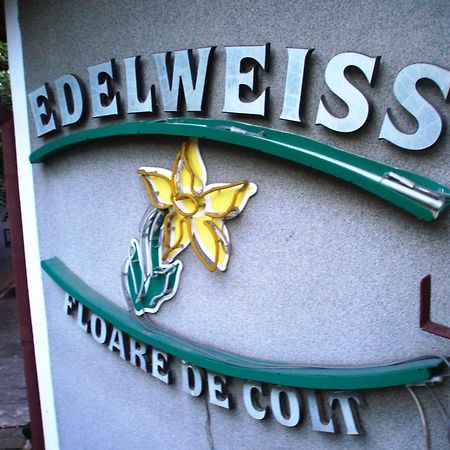 Pension Edelweiss Hotel Kültér fotó
