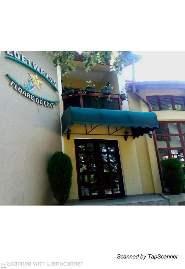 Pension Edelweiss Hotel Kültér fotó