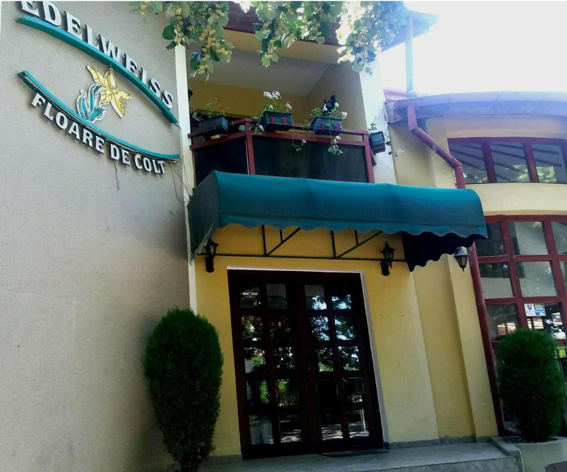 Pension Edelweiss Hotel Kültér fotó