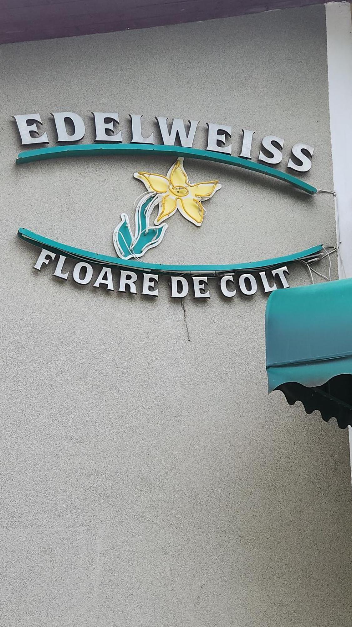 Pension Edelweiss Hotel Kültér fotó