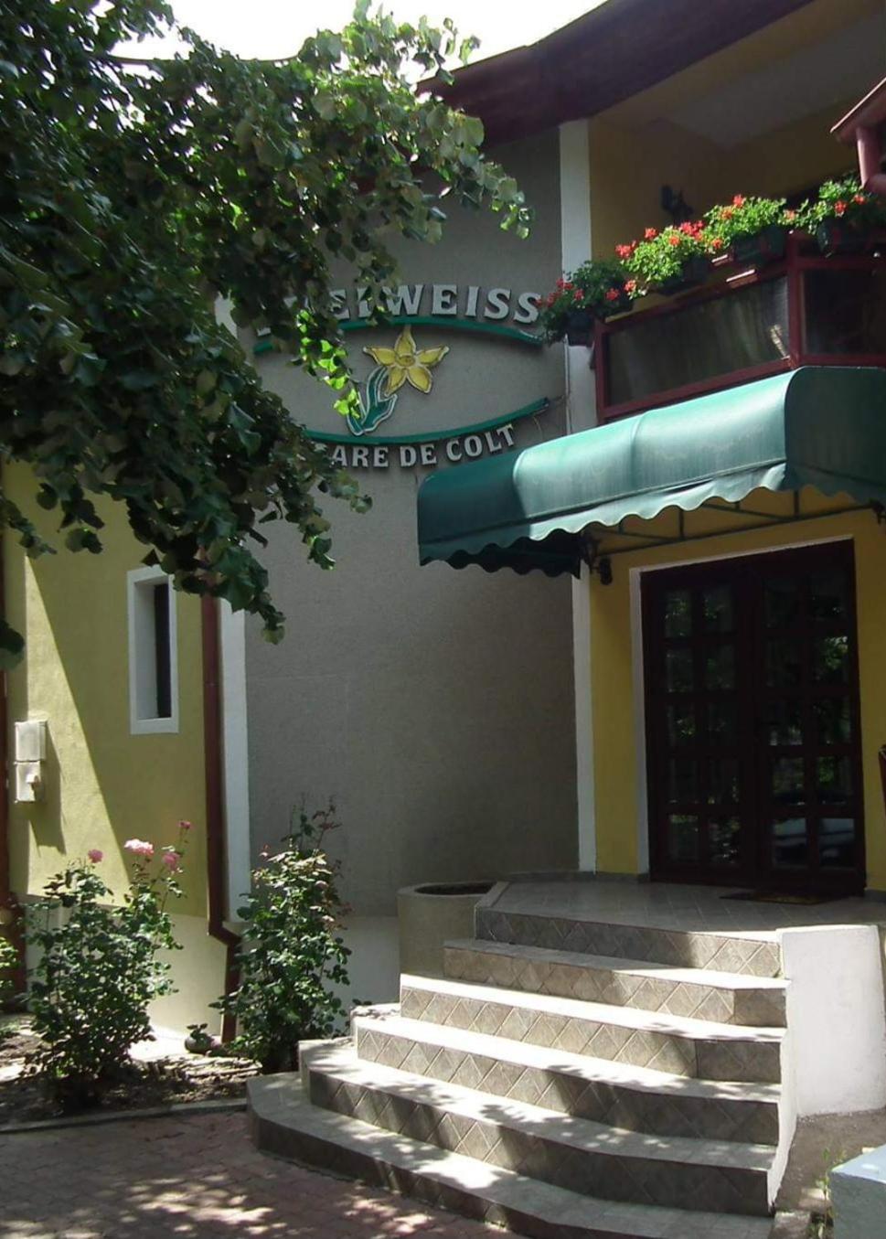 Pension Edelweiss Hotel Kültér fotó