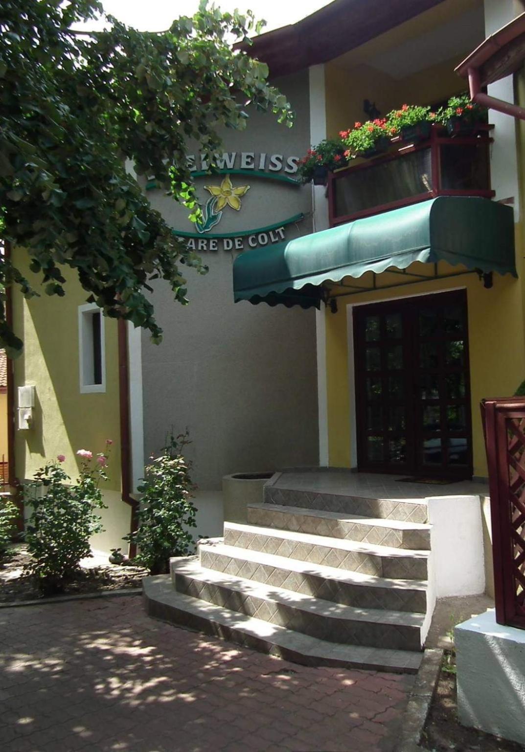 Pension Edelweiss Hotel Kültér fotó